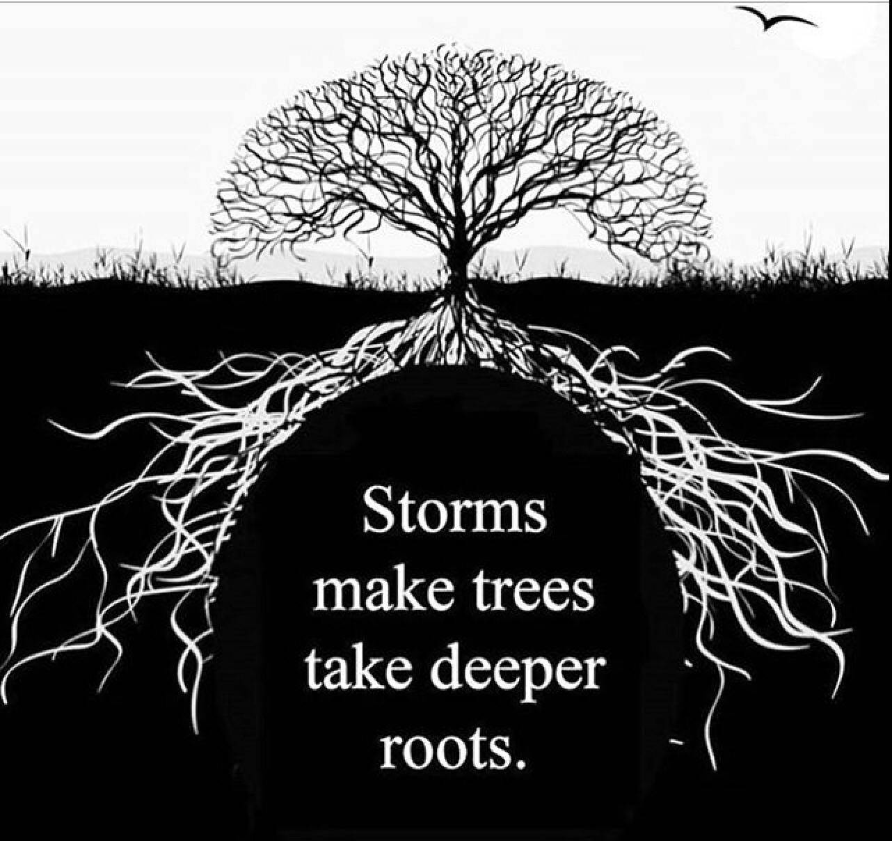 True roots. Storms make Trees take Deeper roots. Дерево мудрости. Жизнеутверждающее дерево. Тук дерево.